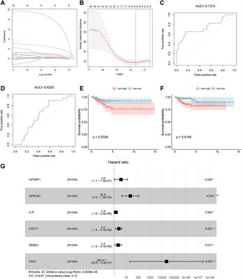 PSG7 indicates that age at diagnosis is associated with papillary thyroid carcinoma: A study based on the cancer genome atlas data